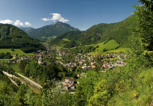Ferienhof Schelchen Hollenstein an der Ybbs Экстерьер фото